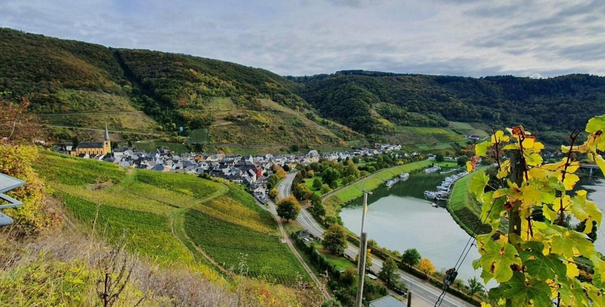 Ferienwohnung An Der Mosel, Romeo Senheim Zewnętrze zdjęcie