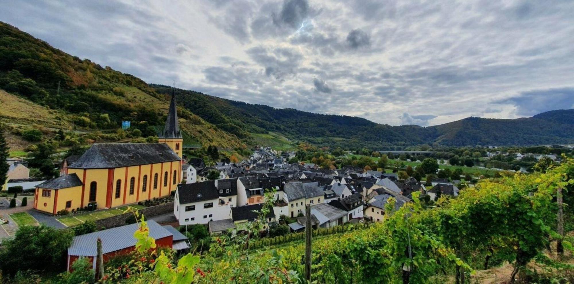 Ferienwohnung An Der Mosel, Romeo Senheim Zewnętrze zdjęcie